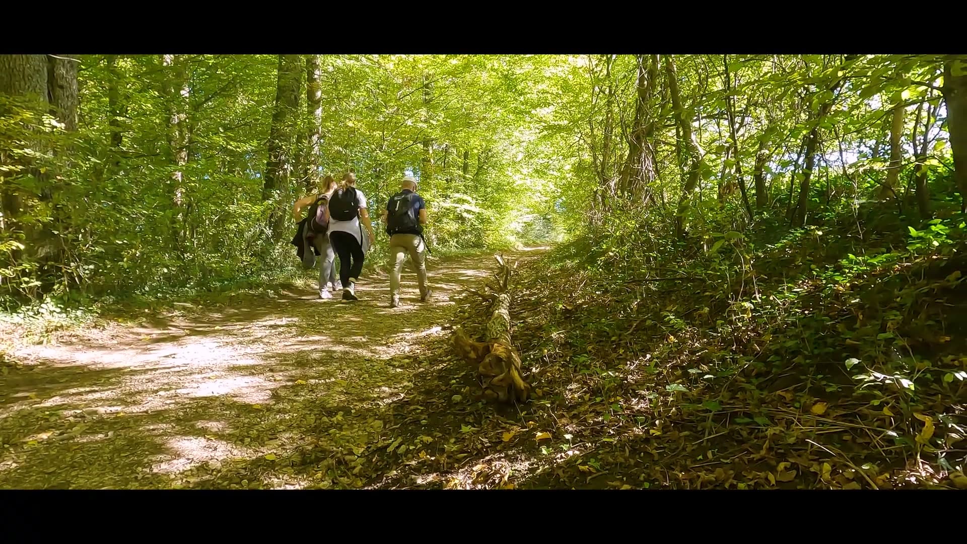 Randonneurs dans le Bois des Essarts à Seloncourt