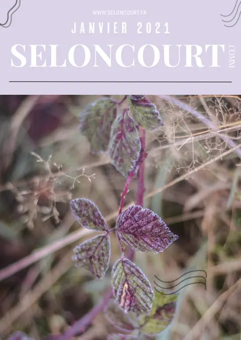 Couverture du magazine Seloncourt.comm — Janvier 2021